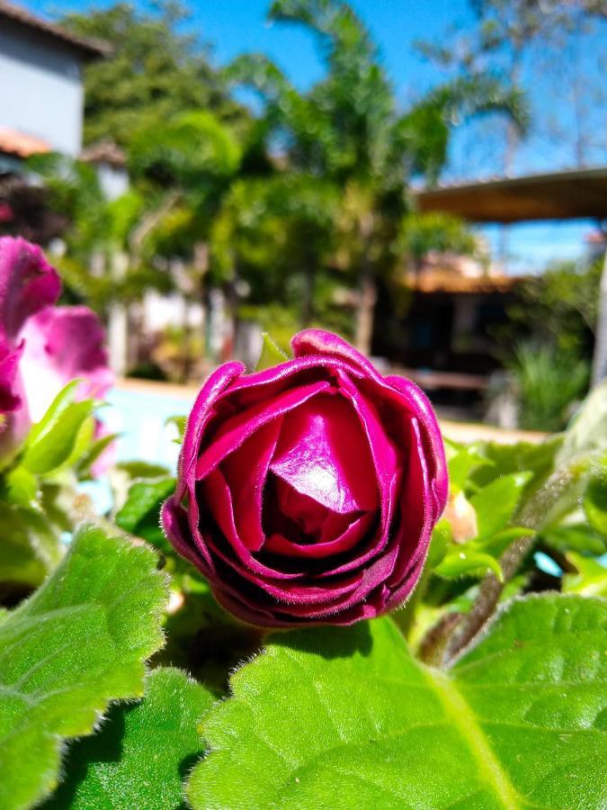 Jardim Secreto Guest House Armacao dos Buzios Luaran gambar